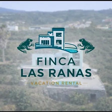 Ranas1 * El Durazno